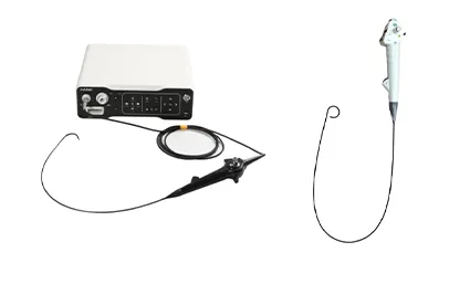 Disposable vs Reusable Ureteroscopes: Where Exactly Do Structural and Process Differences Lie?