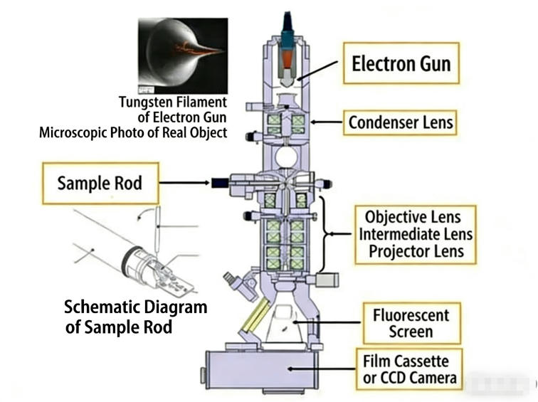 decryption-of-optical-and-electronic-technologies-of-medical-endoscopes-and-their-clinical-applications_09.jpg
